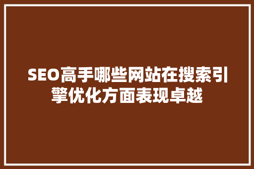 SEO高手哪些网站在搜索引擎优化方面表现卓越