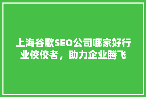 上海谷歌SEO公司哪家好行业佼佼者，助力企业腾飞