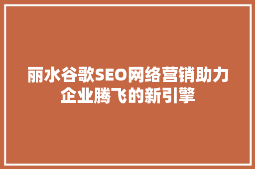 丽水谷歌SEO网络营销助力企业腾飞的新引擎
