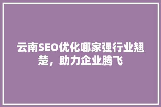 云南SEO优化哪家强行业翘楚，助力企业腾飞