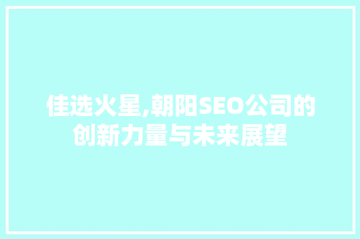 佳选火星,朝阳SEO公司的创新力量与未来展望
