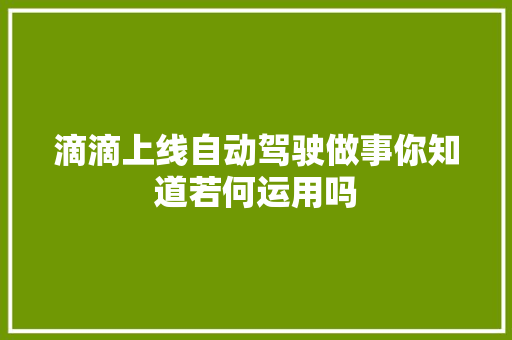 滴滴上线自动驾驶做事你知道若何运用吗