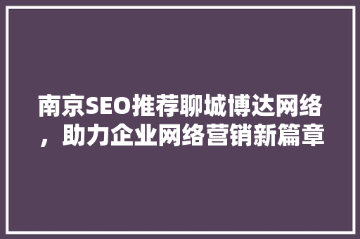 南京SEO推荐聊城博达网络，助力企业网络营销新篇章