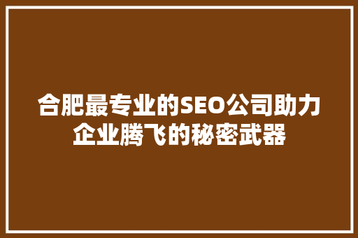 合肥最专业的SEO公司助力企业腾飞的秘密武器