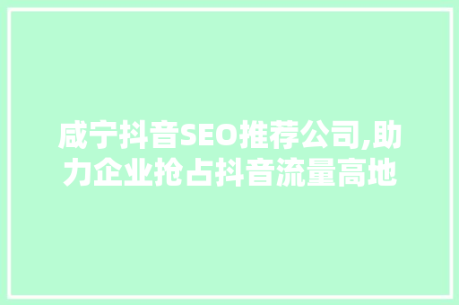 咸宁抖音SEO推荐公司,助力企业抢占抖音流量高地