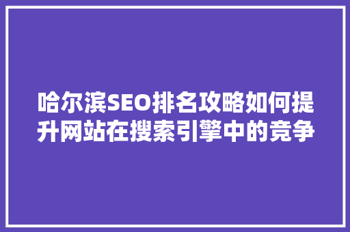 哈尔滨SEO排名攻略如何提升网站在搜索引擎中的竞争力