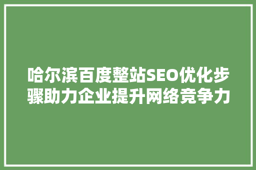 哈尔滨百度整站SEO优化步骤助力企业提升网络竞争力