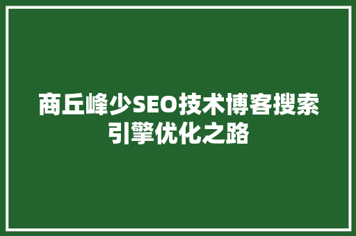 商丘峰少SEO技术博客搜索引擎优化之路