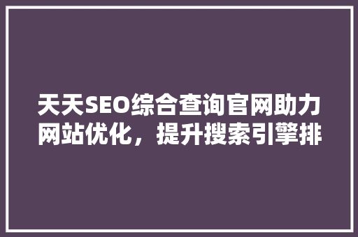 天天SEO综合查询官网助力网站优化，提升搜索引擎排名