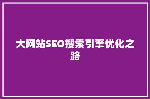 大网站SEO搜索引擎优化之路
