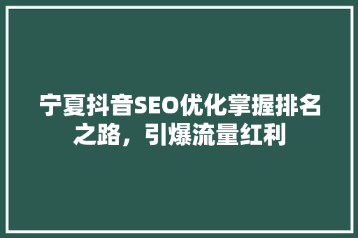 宁夏抖音SEO优化掌握排名之路，引爆流量红利