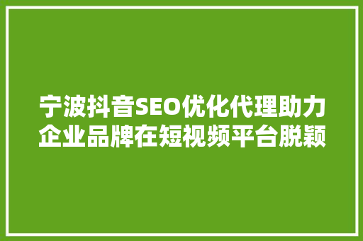 宁波抖音SEO优化代理助力企业品牌在短视频平台脱颖而出