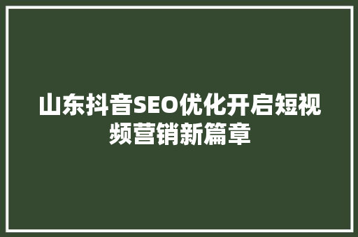 山东抖音SEO优化开启短视频营销新篇章