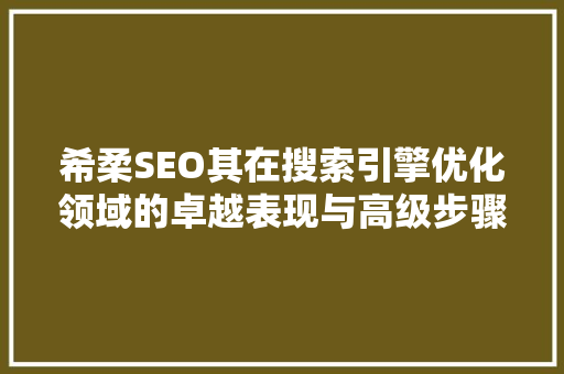 希柔SEO其在搜索引擎优化领域的卓越表现与高级步骤