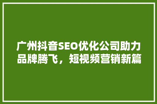 广州抖音SEO优化公司助力品牌腾飞，短视频营销新篇章