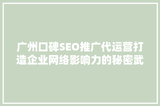 广州口碑SEO推广代运营打造企业网络影响力的秘密武器