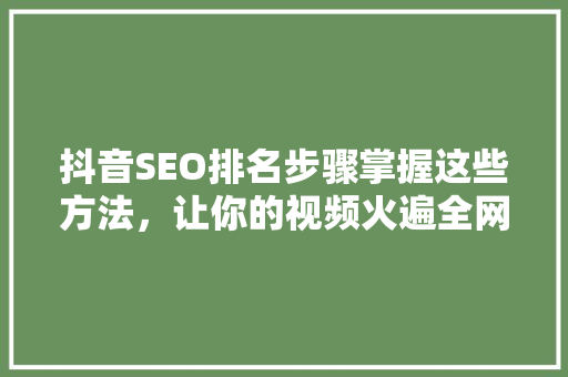 抖音SEO排名步骤掌握这些方法，让你的视频火遍全网