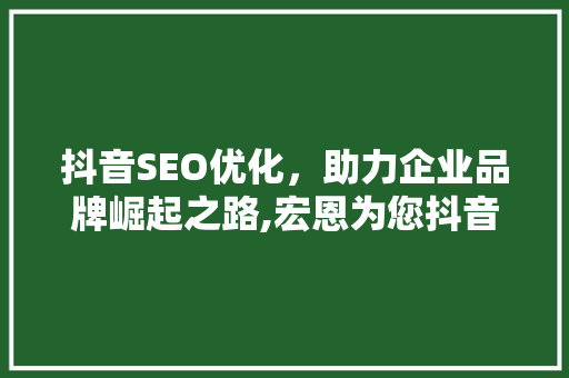 抖音SEO优化，助力企业品牌崛起之路,宏恩为您抖音SEO优化公司核心竞争力