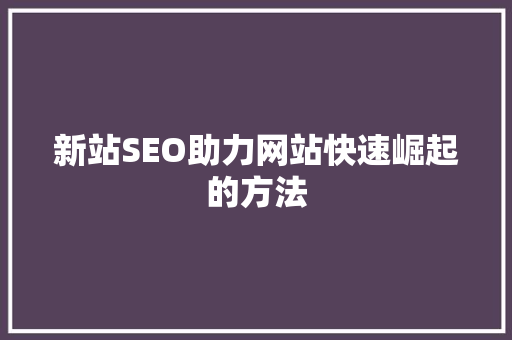 新站SEO助力网站快速崛起的方法