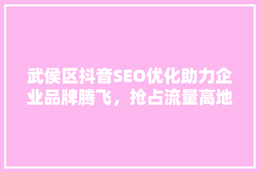 武侯区抖音SEO优化助力企业品牌腾飞，抢占流量高地