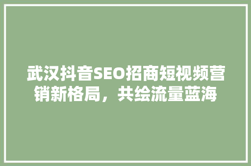武汉抖音SEO招商短视频营销新格局，共绘流量蓝海