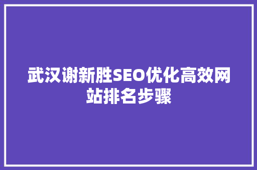 武汉谢新胜SEO优化高效网站排名步骤