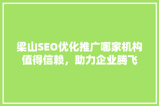 梁山SEO优化推广哪家机构值得信赖，助力企业腾飞