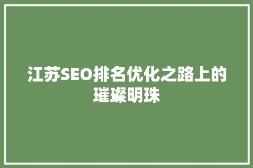 江苏SEO排名优化之路上的璀璨明珠