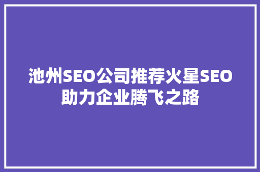 池州SEO公司推荐火星SEO助力企业腾飞之路