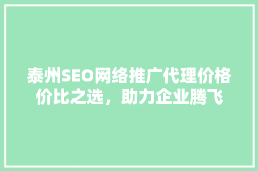 泰州SEO网络推广代理价格价比之选，助力企业腾飞