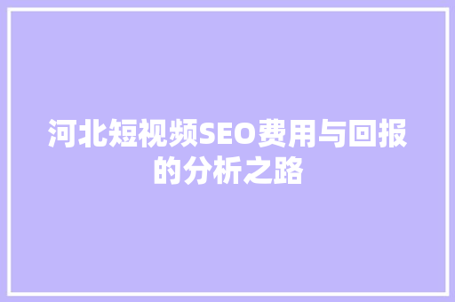 河北短视频SEO费用与回报的分析之路