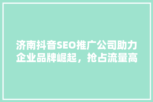 济南抖音SEO推广公司助力企业品牌崛起，抢占流量高地