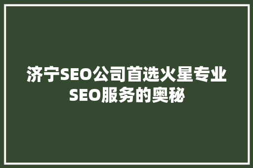 济宁SEO公司首选火星专业SEO服务的奥秘