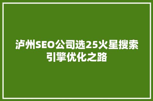 泸州SEO公司选25火星搜索引擎优化之路
