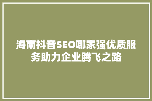 海南抖音SEO哪家强优质服务助力企业腾飞之路