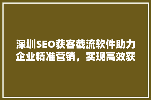 深圳SEO获客截流软件助力企业精准营销，实现高效获客