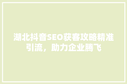 湖北抖音SEO获客攻略精准引流，助力企业腾飞