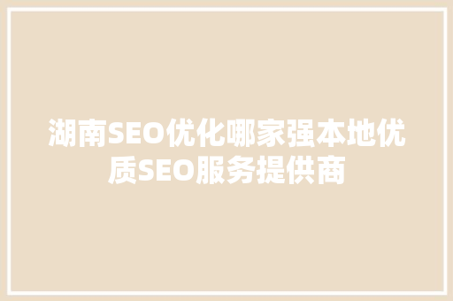 湖南SEO优化哪家强本地优质SEO服务提供商