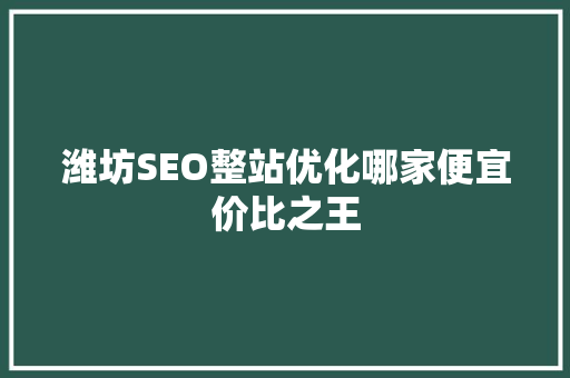 潍坊SEO整站优化哪家便宜价比之王