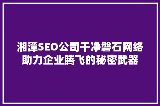 湘潭SEO公司干净磐石网络助力企业腾飞的秘密武器