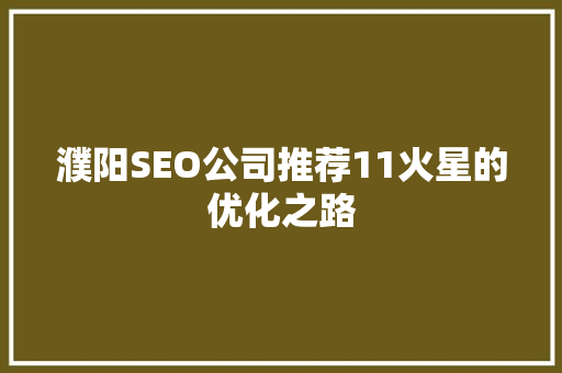 濮阳SEO公司推荐11火星的优化之路