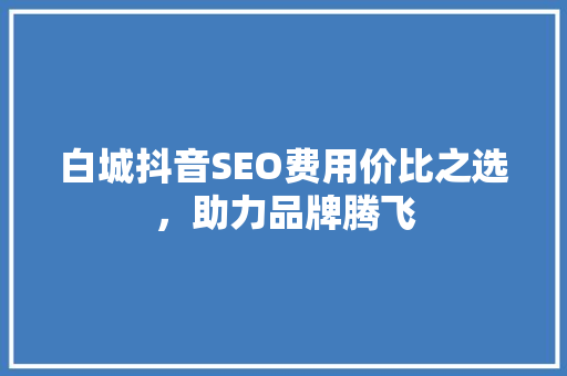 白城抖音SEO费用价比之选，助力品牌腾飞