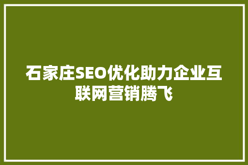 石家庄SEO优化助力企业互联网营销腾飞
