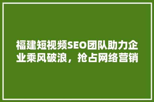 福建短视频SEO团队助力企业乘风破浪，抢占网络营销制高点