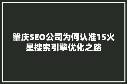肇庆SEO公司为何认准15火星搜索引擎优化之路