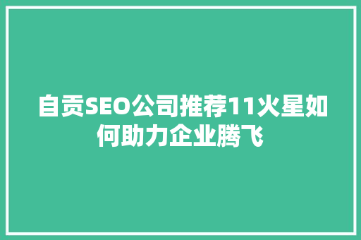 自贡SEO公司推荐11火星如何助力企业腾飞