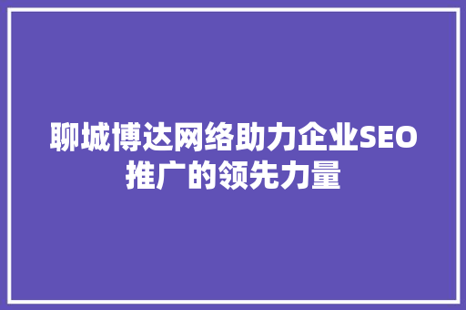 聊城博达网络助力企业SEO推广的领先力量