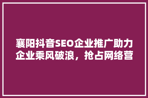 襄阳抖音SEO企业推广助力企业乘风破浪，抢占网络营销制高点