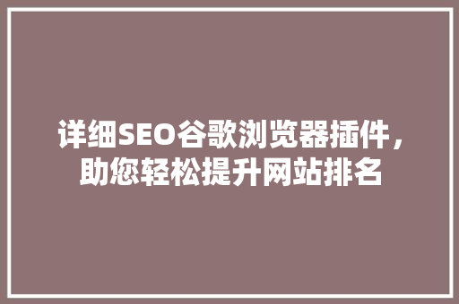 详细SEO谷歌浏览器插件，助您轻松提升网站排名