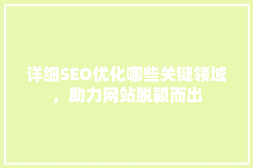 详细SEO优化哪些关键领域，助力网站脱颖而出